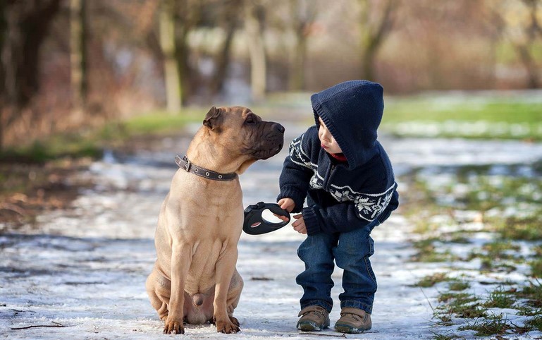 Things to Know Before Getting Your First Puppy